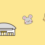 特別支援学級の授業ってどんなの?体育の授業。
