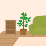 シンプルな部屋にしたけど、必要な物だけだと寂しい。遊び心も必要。